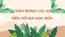 Giáo án Powerpoint Đọc: Rừng mơ Tiếng việt lớp 4 Chân trời sáng tạo (Pb2)