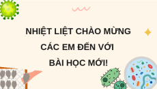 Giáo án Powerpoint Bài 19 Khoa học lớp 5 Chân trời sáng tạo: Vi khuẩn có ích trong chế biến thực phẩm