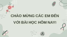 Giáo án Powerpoint Sinh sản ở sinh vật Sinh học 11 Cánh diều