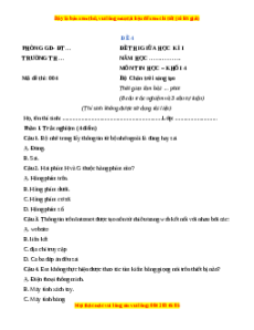 Đề thi giữa kì 1 Tin học lớp 4 Chân trời sáng tạo - Đề 4