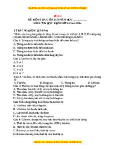 Đề thi giữa kì 1 Tin học 6 Cánh diều - Đề 2