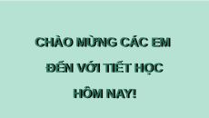 Giáo án Powerpoint Bài tập cuối chuyên đề 1 Toán 11 Kết nối tri thức