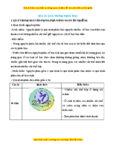 Lý thuyết Sinh học 10 Chân trời sáng tạo Bài 19: Quá trình phân bào