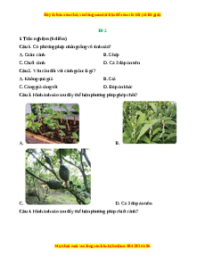 Đề thi cuối kì 1 Công nghệ 7 Kết nối tri thức (Đề 2)