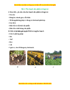 Lý thuyết Bài 4: Thu hoạch sản phẩm trồng trọt