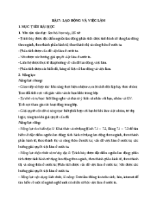 Giáo án Bài 7 Địa lí 12 Kết nối tri thức (2024): Lao động và việc làm