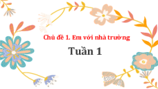 Bài giảng Powerpoint Hoạt động trải nghiệm 7 Kết nối tri thức