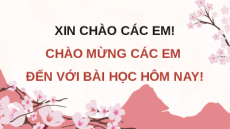 Giáo án Powerpoint Ôn tập chương 4 Công nghệ 12 Kết nối tri thức