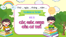 Giáo án Powerpoint Bài 21 Tự nhiên xã hội lớp 1 Kết nối tri thức: Các giác quan của cơ thể