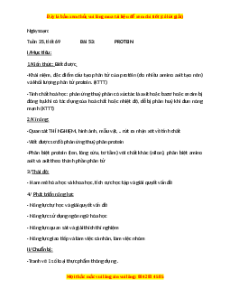 Giáo án Protein Hóa học 9