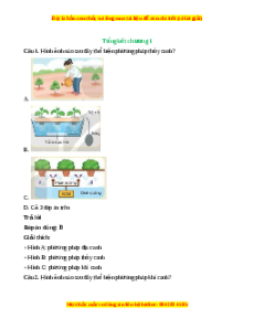 Ôn tập chương 1