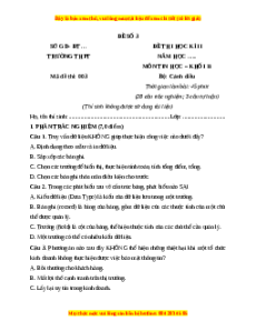 Đề thi cuối kì 2 Tin học 11 Cánh diều (Đề 3)