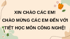 Giáo án Powerpoint Bài 2 Công nghệ 9 Chế biến thực phẩm Kết nối tri thức: Lựa chọn và bảo quản thực phẩm