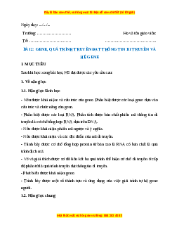 Giáo án Bài 2 Sinh học 12 Kết nối tri thức: Gene, quá trình truyền đạt thông tin di truyền và hệ gene
