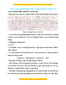 Lý thuyết Sinh học 10 Chân trời sáng tạo Bài 24: Quá trình tổng hợp và phân giải ở vi sinh vật