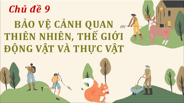 Giáo án Powerpoint Chủ đề 9 Hoạt động trải nghiệm 12 Chân trời sáng tạo