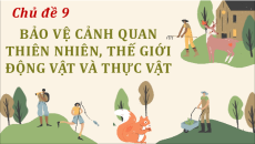 Giáo án Powerpoint Chủ đề 9 Hoạt động trải nghiệm 12 Chân trời sáng tạo