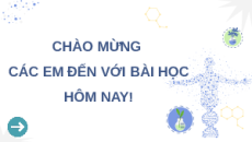 Giáo án Powerpoint Bài 1: DNA và cơ chế tái bản DNA Sinh học 12 Kết nối tri thức