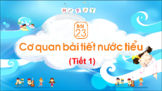 Giáo án Powerpoint Bài 23 Tự nhiên xã hội lớp 2 Chân trời sáng tạo: Cơ quan bài tiết nước tiểu