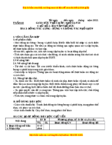Giáo án Bài 3: Động tác lưng bụng và động tác phối hợp Gdtc 3 Cánh diều