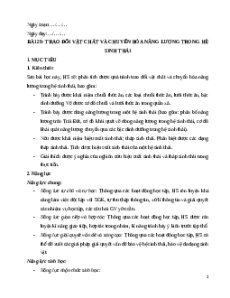 Giáo án Bài 29 Sinh học 12 Kết nối tri thức: Trao đổi vật chất và chuyển hoá năng lượng trong hệ sinh thái
