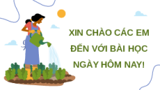 Giáo án Powerpoint Bài 5: Thực hành: Viết báo cáo ngắn về mô hình sản xuất nông nghiệp