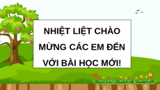 Giáo án Powerpoint Bài 17 Khoa học lớp 5 Chân trời sáng tạo: Ôn tập chủ đề Thực vật và động vật