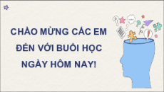 Bài giảng Powerpoint KTPL 11 Cánh diều