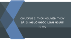 Giáo án Powerpoint Bài 3 Lịch sử 6 Chân trời sáng tạo: Nguồn gốc loài người