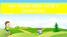 Giáo án Powerpoint Vai trò của nước và các chất dinh dưỡng đối với cơ thể sinh vật Sinh học - KHTN 7 Cánh diều