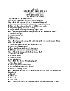 Đề thi giữa kì 1 Tin học 9 Cánh diều (Đề 3)