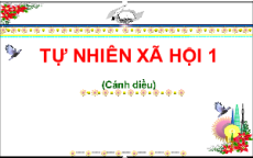 Giáo án Powerpoint Bài 7: Thực hành quan sát cuộc sống xung quanh trường Tự nhiên xã hội lớp 1 Cánh diều