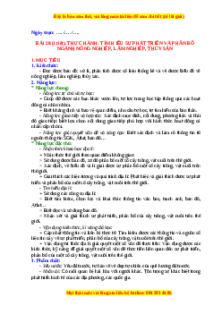 Giáo án Bài 28 Địa lí 10 Chân trời sáng tạo (2024): Thực hành tìm hiểu sự phát triển và phân bố ngành nông nghiệp, lâm nghiệp, thủy sản