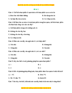 Đề thi cuối kì 1 Công nghệ 6 Kết nối tri thức (Đề 2)