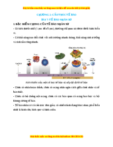 Lý thuyết Sinh học 10 Kết nối tri thức Bài 7: Tế bào nhân sơ