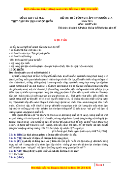 Đề thi thử Ngữ Văn trường Chuyên Phan Ngọc Hiển lần 1 năm 2021
