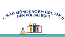 Giáo án Powerpoint Ester – Lipid Hóa học 12 Chân trời sáng tạo