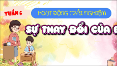Giáo án Powerpoint Tuần 5 Hoạt động trải nghiệm lớp 5 Cánh diều
