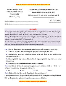 Đề thi thử tốt nghiệp Sinh học trường THPT Thuận Thành 1 năm 2024