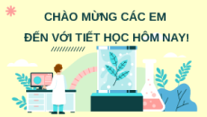 Giáo án Powerpoint Chu kì tế bào và nguyên phân Sinh học 10 Kết nối tri thức