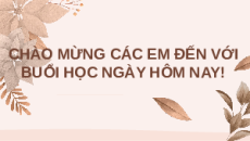 Giáo án Powerpoint Bài 38: Đa dạng sinh học KHTN 6 Kết nối tri thức