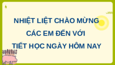 Giáo án Powerpoint Bài 12 Công nghệ chăn nuôi 11 Kết nối tri thức: Một số bệnh phổ biến ở lợn và biện pháp phòng, trị bệnh