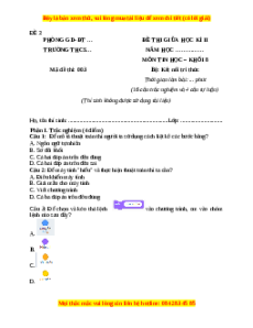 Đề thi giữa kì 2 Tin học 8 Kết nối tri thức - Đề 3