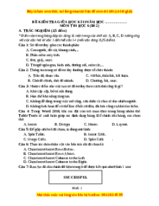 Đề thi giữa kì 2 Tin học 6 Kết nối tri thức - Đề 2