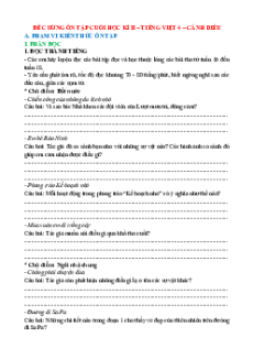 Đề cương ôn tập Cuối kì 2 Tiếng Việt lớp 4 Cánh diều Cấu trúc mới