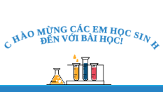 Giáo án Powerpoint Glucose và fructose Hóa học 12 Chân trời sáng tạo