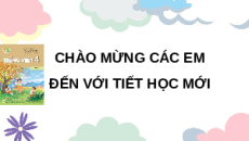 Giáo án Powerpoint Đọc: Đồng cỏ nở hoa (trang 81, 82) Tiếng việt lớp 4 Kết nối tri thức (Phiên bản 2)