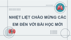 Giáo án Powerpoint Bài tiết và cân bằng nội môi Sinh học 11 Cánh diều