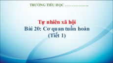 Giáo án Powerpoint Bài 20: Cơ quan tuần hoàn Tự nhiên xã hội lớp 3 Kết nối tri thức