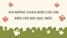 Giáo án Powerpoint Luyện từ và câu: Luyện tập về chủ ngữ (trang 26, 27) Tiếng việt lớp 4 Chân trời sáng tạo (Phiên bản 2)